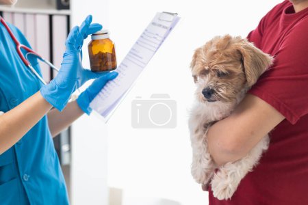 veterinarian recommends tonics dog owner help nourish body after annual health examination search for diseases may occur with pets. Annual health examination concepts for pets and tonics veterinarians