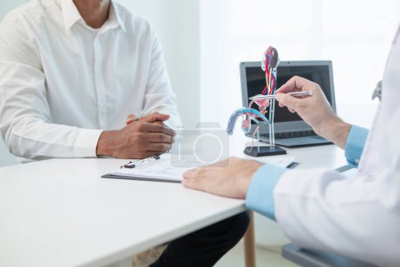 Doctors are counseling prostate cancer patients and using model of the penis to provide an example for prostate cancer patients about future symptoms and treatments. Prostate cancer treatment concepts