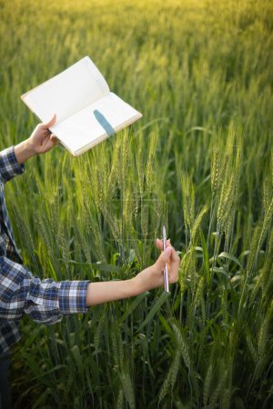 The researcher is using her hands to touch the barley plants and observe the barley yield and the health of the plants to take notes and use the data to conduct research to increase barley production.