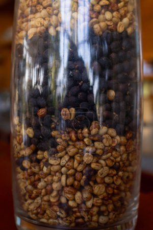 grains de café parfaitement torréfiés sont pris comme échantillons pour les clients qui souhaitent les acheter pour produire leur propre marque de grains de café torréfiés conduisant à l'exportation de grains de café torréfiés de haute qualité.