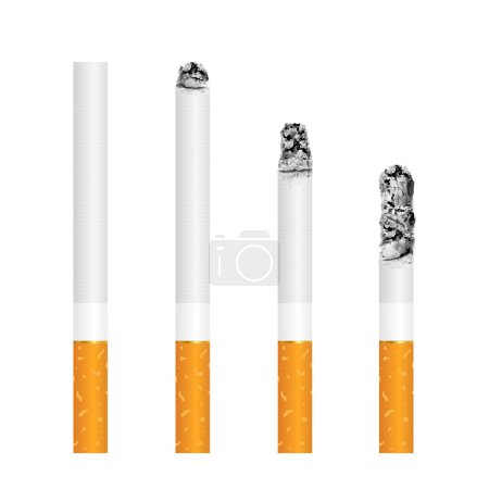 Set Zigaretten mit Asche in verschiedenen Stadien der Verbrennung. Illustration des Zigarettenvektors