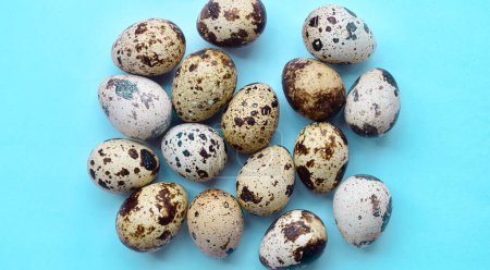 Photo for Top view of raw quail eggs. High protein rich food. - Royalty Free Image