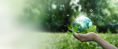 Foto de Hands protecting globe of green leafs and tree on tropical nature summer background, Ecology and Environment concept - Imagen libre de derechos