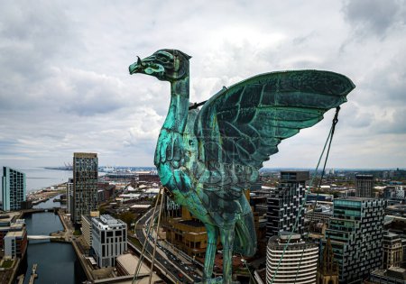 Téléchargez les photos : Vue aérienne de l'oiseau du foie au sommet du bâtiment du foie à Liverpool, Angleterre, Royaume-Uni - en image libre de droit