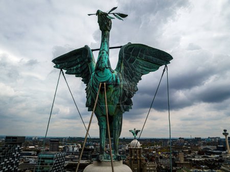Téléchargez les photos : Vue aérienne de l'oiseau du foie au sommet du bâtiment du foie à Liverpool, Angleterre, Royaume-Uni - en image libre de droit