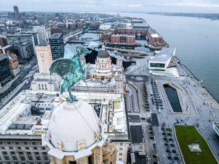 Photo for Aerial view of the liver bird on top of the Liver building in Liverpool, England, UK - Royalty Free Image