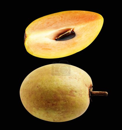 Photo for Sapodilla slice and piece isolated no shadow with clipping path in black background, healthy fresh tropical fruit - Royalty Free Image