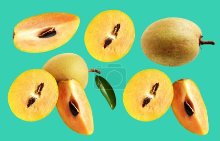 Photo for Sapodilla slice and piece isolated no shadow with clipping path in green background, healthy fresh tropical fruit - Royalty Free Image