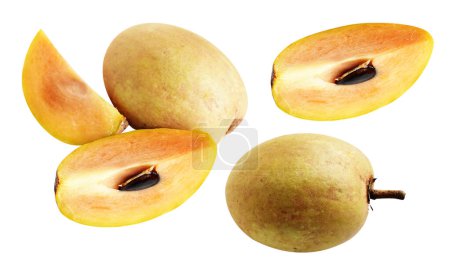 Photo for Sapodilla slice and piece isolated no shadow with clipping path in white background, healthy fresh tropical fruit - Royalty Free Image