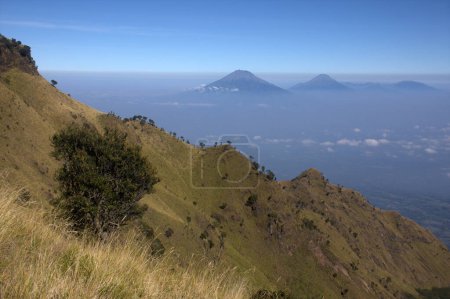 Photo for View from the merbabu mountain hiking trail. Central Java/Indonesia. - Royalty Free Image