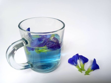 Foto de Hierba medicinal, telang, flor de teleng o ternatea del clítoris en el vidrio en el fondo blanco - Imagen libre de derechos