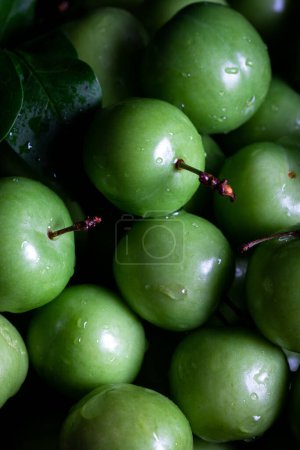 Téléchargez les photos : Prunes vertes fraîches dans un bol. Gros plan sur les prunes vertes fraîches. - en image libre de droit
