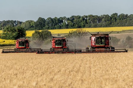 Foto de Kharkiv, Ucrania - Jule, 18, 2022: Tres cosechadoras cruzan el campo una por una y cosechan el trigo. Cultivo de cultivos de grano. El concepto de seguridad alimentaria en el mundo - Imagen libre de derechos