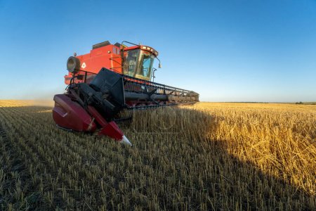 Téléchargez les photos : Kharkiv, Ukraine - Jule, 18, 2022 : Combiner les promenades de la moissonneuse à travers le champ et récolte le blé. Récolte de blé en Ukraine, exportation de céréales et sécurité alimentaire dans le monde - en image libre de droit