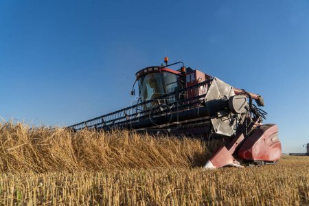 Téléchargez les photos : Kharkiv, Ukraine - Jule, 18, 2022 : Une moissonneuse-batteuse traverse un champ jaune avec du blé mûr, fauche du blé, récolte du blé, du grain. Récolte de blé. Le concept de sécurité alimentaire dans le monde - en image libre de droit