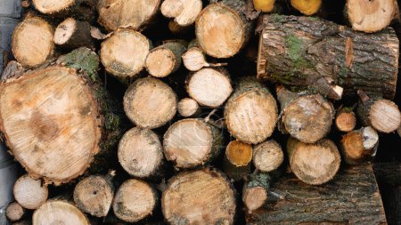 Photo for A lot of firewood lies stacked near the house. Panorama. The concept of harvesting firewood before winter, alternative heating in winter - Royalty Free Image