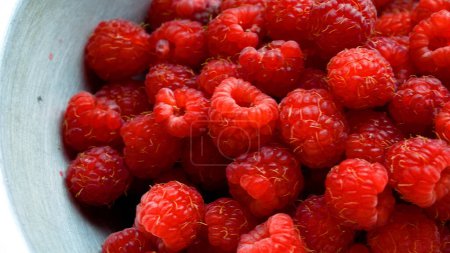 Juicy red ripe raspberries in a bowl. Raspberry harvesting. Vitamin berries in the diet. A delicious snack. Summer diet. Berries and healthy eating.