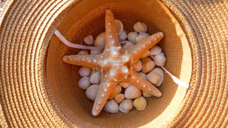 Big starfish and seashells in summer sunscreen straw hat on sandy beach. Rest by the sea. Summer holidays.
