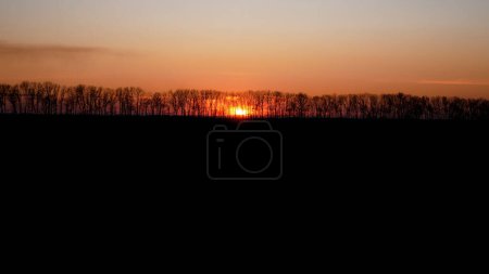 Sunset. The red sun sets behind the trees. In the foreground is a field of black earth in shadow.