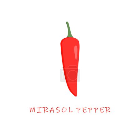 Illustration for Mirasol pepper flat design vector illustration - Royalty Free Image