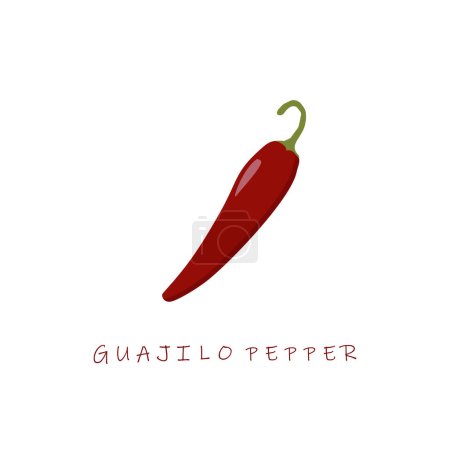 Illustration for Guajilo pepper flat design vector illustration - Royalty Free Image