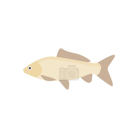 Illustration for Freshwater carp fish flat design vector illustration - Royalty Free Image