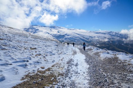 Téléchargez les photos : Famille latine marchant dans la neige dans les montagnes de sierra nevada, avec des vêtements d'hiver à Grenade, andalucia, - en image libre de droit