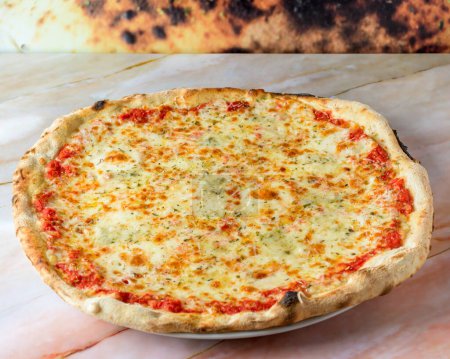 Téléchargez les photos : Pizza familiale cuisinée avec quatre recettes de fromage, origan et basilic cuit au four et prêt à manger, - en image libre de droit