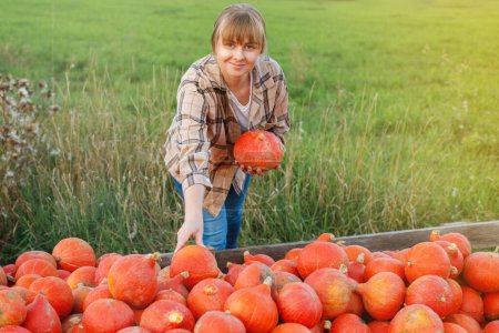 Téléchargez les photos : Portrait femme souriante à côté de rangées de citrouilles et de choisir la citrouille sur le patch de citrouille à la ferme pendant la saison d'automne - en image libre de droit