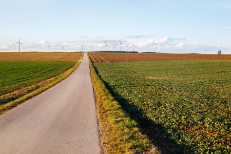 Straße durch landwirtschaftliche Felder in Bayern. Landwirtschaft