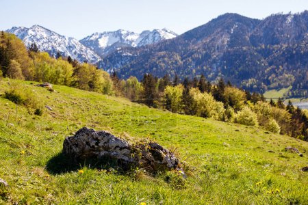prairie verte avec des sommets montagneux au loin. paysage de montagne de printemps. Alpes bavaroises