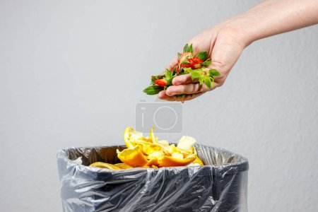 garbage bio waste. sorting and recycling of garbage