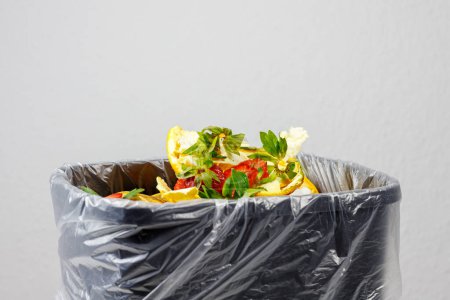 bio trash, organic trash in the trash bin