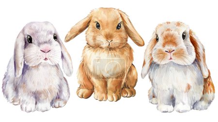 Téléchargez les photos : Mignons lapins sur fond blanc isolé, illustration d'aquarelle de lapin. Illustration de haute qualité - en image libre de droit