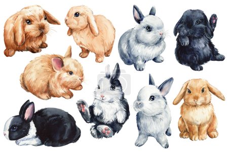 Téléchargez les photos : Mignons lapins sur fond blanc isolé, illustration d'aquarelle de lapin. Illustration de haute qualité - en image libre de droit