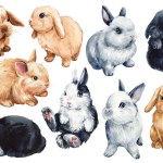 Cute bunnies on isolated white background, bunny watercolor illustration. High quality illustration