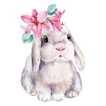 Cute little animal. Bunny with lilies flowers on white isolated background, watercolor illustration. . High quality illustration