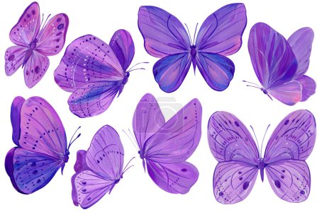 Photo for Bright violet butterflies set on isolated white background, acrylic painting, butterfly art. High quality illustration - Royalty Free Image