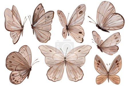 Photo for Beige butterflies on isolated white background, acrylic painting, modern art. High quality illustration - Royalty Free Image