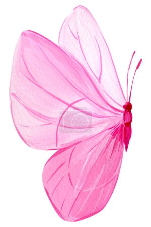 Bright pink butterfly on isolated white background, acrylic painting, butterfly art. High quality illustration