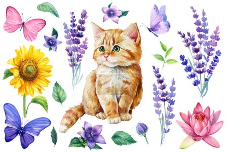 Watercolor lWavender flowers, lotus, sunflower and butterflies, cute ginger kitten, set of floral isolated elements on white background. High quality illustration