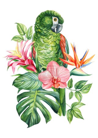Photo for Beautiful tropical bird watercolor illustration hand drawing, parrot, flowers and palm leaf in isolated white background. High quality illustration - Royalty Free Image