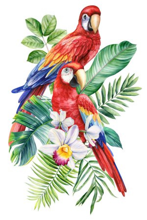 Foto de Hermoso pájaro tropical acuarela ilustración dibujo a mano, loro, flores y hoja de palma en fondo blanco aislado. ilustración de alta calidad - Imagen libre de derechos