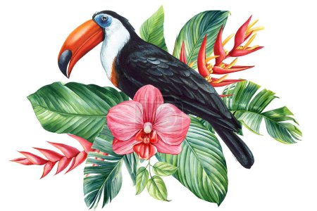 Beautiful tropical bird watercolor illustration hand drawing, parrot, flowers and palm leaf in isolated white background. High quality illustration