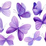Set of purple butterflies on isolated white background, watercolor illustration, beautiful butterfly. High quality illustration