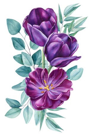 Foto de Flor de primavera. tulipanes flores sobre un fondo blanco aislado, acuarela pintura botánica. Diseño floral. ilustración de alta calidad - Imagen libre de derechos