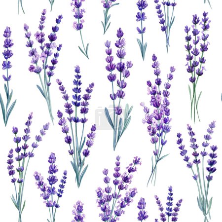 Photo for Wildflower lavender hand drawing, flower watercolor style wrapper pattern. Floral seamless pattern. High quality illustration - Royalty Free Image
