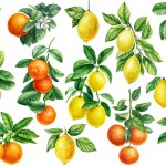 Branch with green leaves. Set of ripe fruits on white background, watercolor painting, citrus fruit orange, lemon, tangerine. High quality illustration