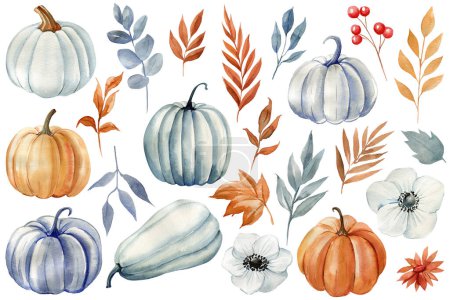 Photo for Watercolor pumpkin, flowers and tree leaves. Vintage Fall botanical clipart. Hand-painted illustration set. High quality illustration - Royalty Free Image