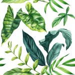 Summer leaves pattern watercolor, tropical pattern for textiles and decoration. Hand drawn painted plants. . High quality illustration